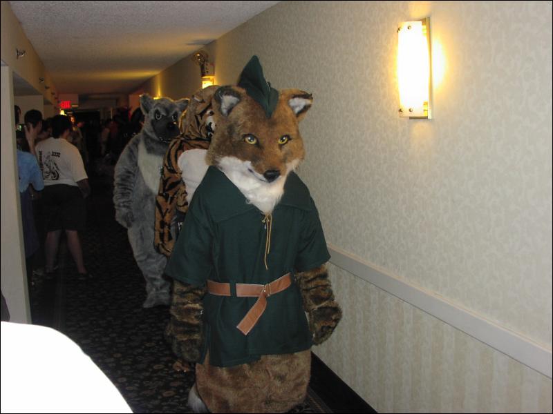 [Ringtail_MFM2002_012.jpg]