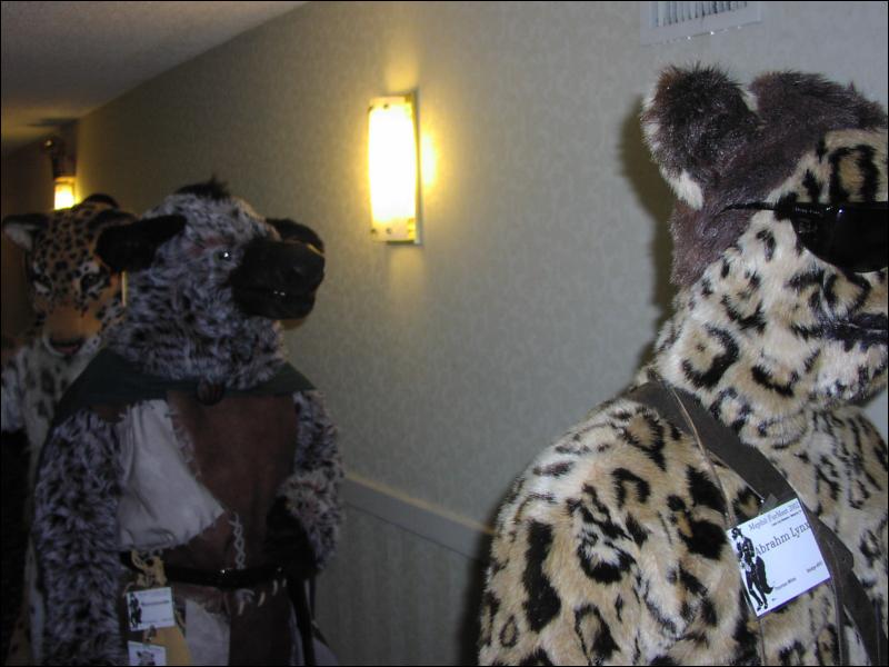 [Ringtail_MFM2002_024.jpg]