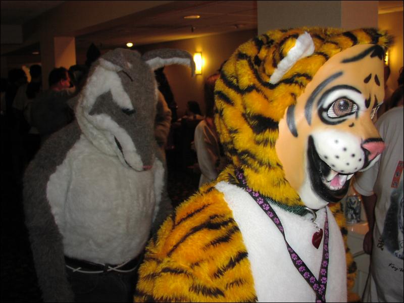 [Ringtail_MFM2002_031.jpg]