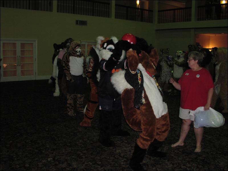 [Ringtail_MFM2002_130.jpg]