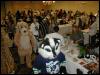 [Ringtail MFM2002 147]