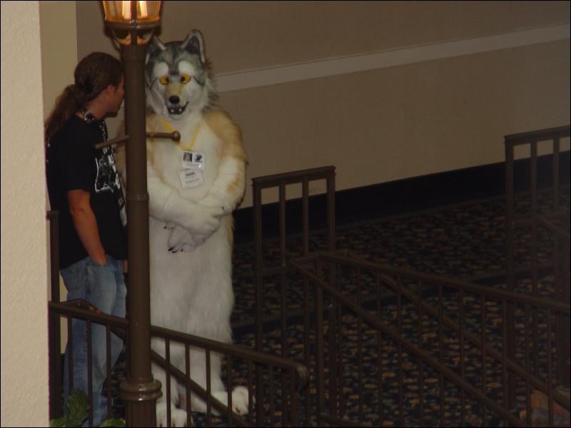 [Wuuulf_MFM2003_081.jpg]