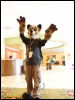 [Wuuuulf MFM2011 002]