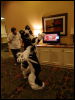 [Wuuuulf MFM2011 041]