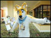 [Wuuuulf MFM2011 049]