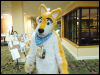 [Wuuuulf MFM2011 050]