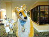 [Wuuuulf MFM2011 051]