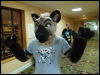 [Wuuuulf MFM2011 093]