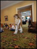 [Wuuuulf MFM2011 131]