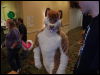 [Wuuuulf MFM2011 169]