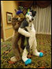 [Wuuuulf MFM2011 180]