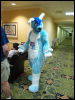 [Wuuuulf MFM2011 239]