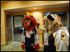 [Wuuuulf MFM2011 241]