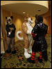 [Wuuuulf MFM2011 247]