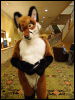 [Wuuuulf MFM2011 256]