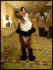 [Wuuuulf MFM2011 257]