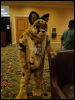 [Wuuuulf MFM2011 266]