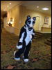 [Wuuuulf MFM2011 286]