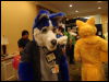 [Wuuuulf MFM2011 288]