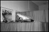 [Nikon MidWestFurFest20001117 012]