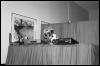 [Nikon MidWestFurFest20001117 014]