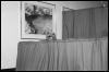 [Nikon MidWestFurFest20001117 019]