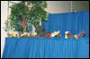 [Nikon MidWestFurFest20001117 028]