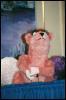 [Nikon MidWestFurFest20001117 042]