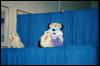 [Nikon MidWestFurFest20001117 054]