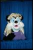 [Nikon MidWestFurFest20001117 056]