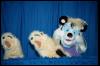 [Nikon MidWestFurFest20001117 057]