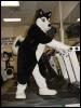 [Draconis MFF2001 051]