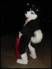 [Draconis MFF2001 278]