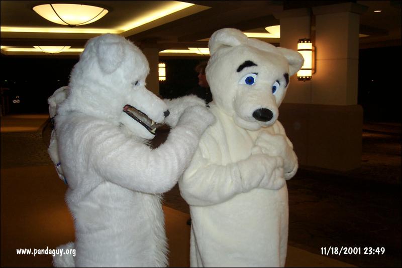 [PG_MFF2001_080.jpg]