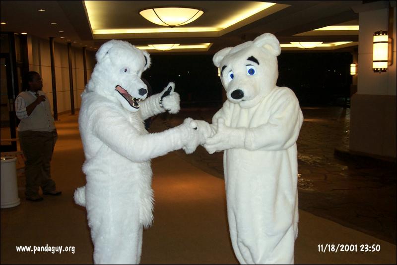 [PG_MFF2001_082.jpg]