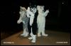 [PG MFF2001 105]