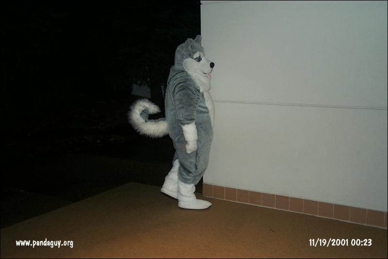 [PG_MFF2001_119.jpg]