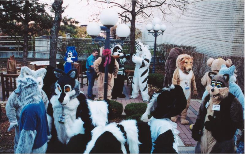 [Furbo_MFF2002_33.jpg]