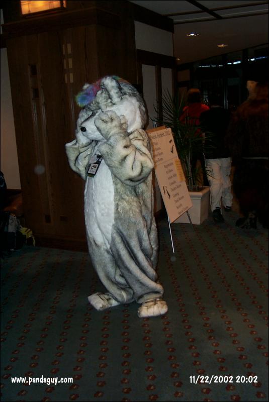 [PandaGuy_MFF2002_35.jpg]