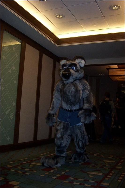 [BrownLeopard_MFF03_055.jpg]