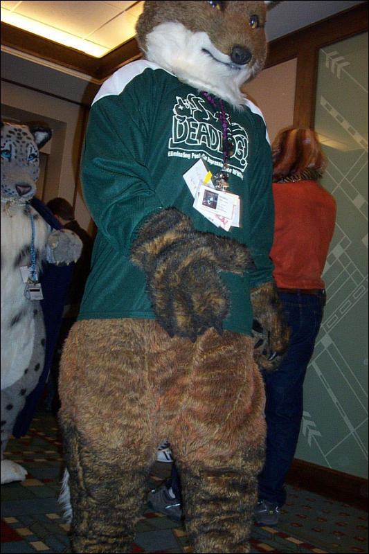 [BrownLeopard_MFF03_066.jpg]