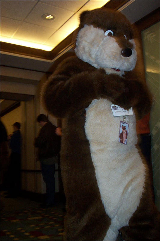 [BrownLeopard_MFF03_071.jpg]