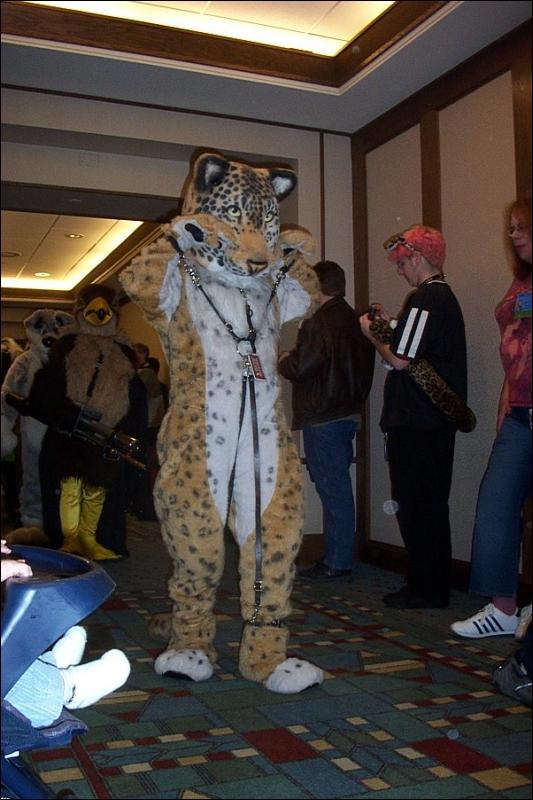 [BrownLeopard_MFF03_079.jpg]