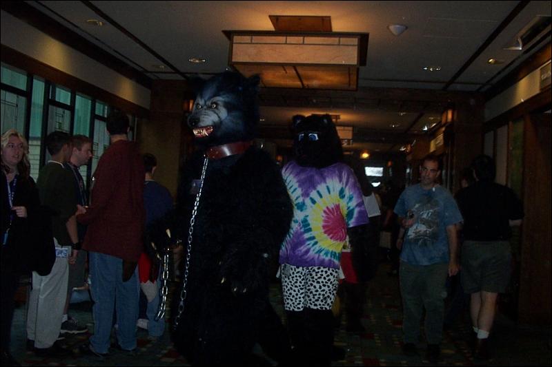 [BrownLeopard_MFF03_090.jpg]