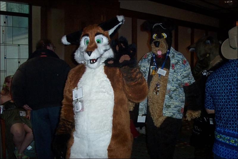 [BrownLeopard_MFF03_093.jpg]