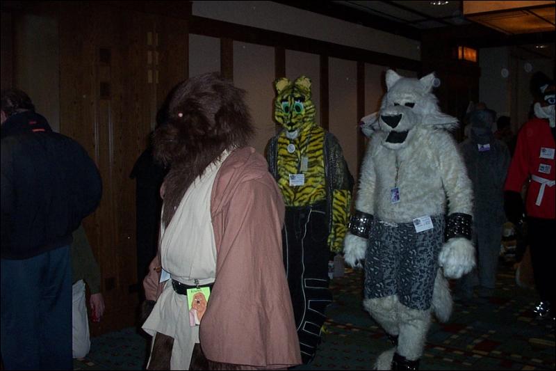 [BrownLeopard_MFF03_094.jpg]