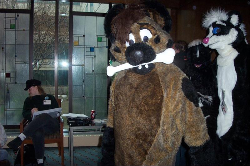 [BrownLeopard_MFF03_099.jpg]