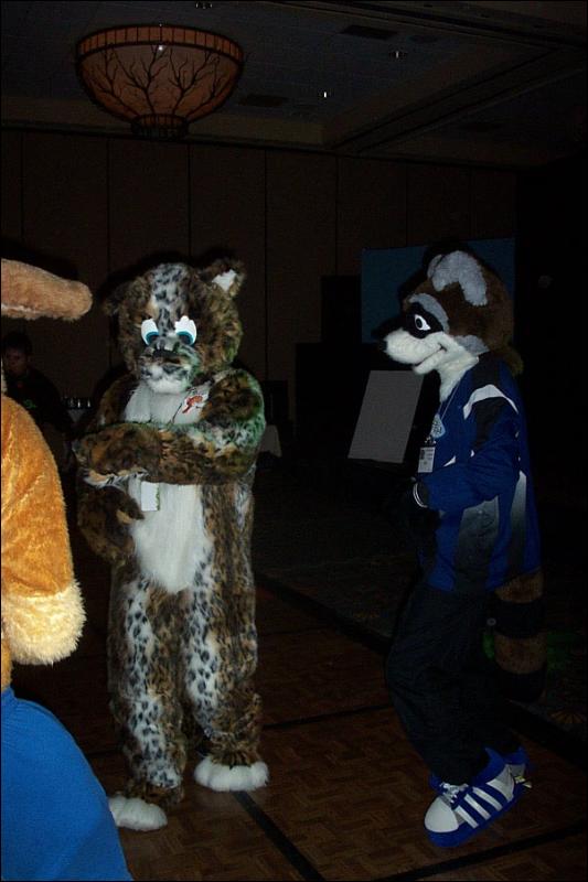 [BrownLeopard_MFF03_144.jpg]