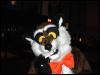 [Growl MFF2004 036]