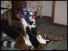 [Growl MFF2004 041]